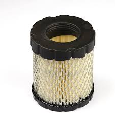 Briggs and Stratton Air Filter 798897