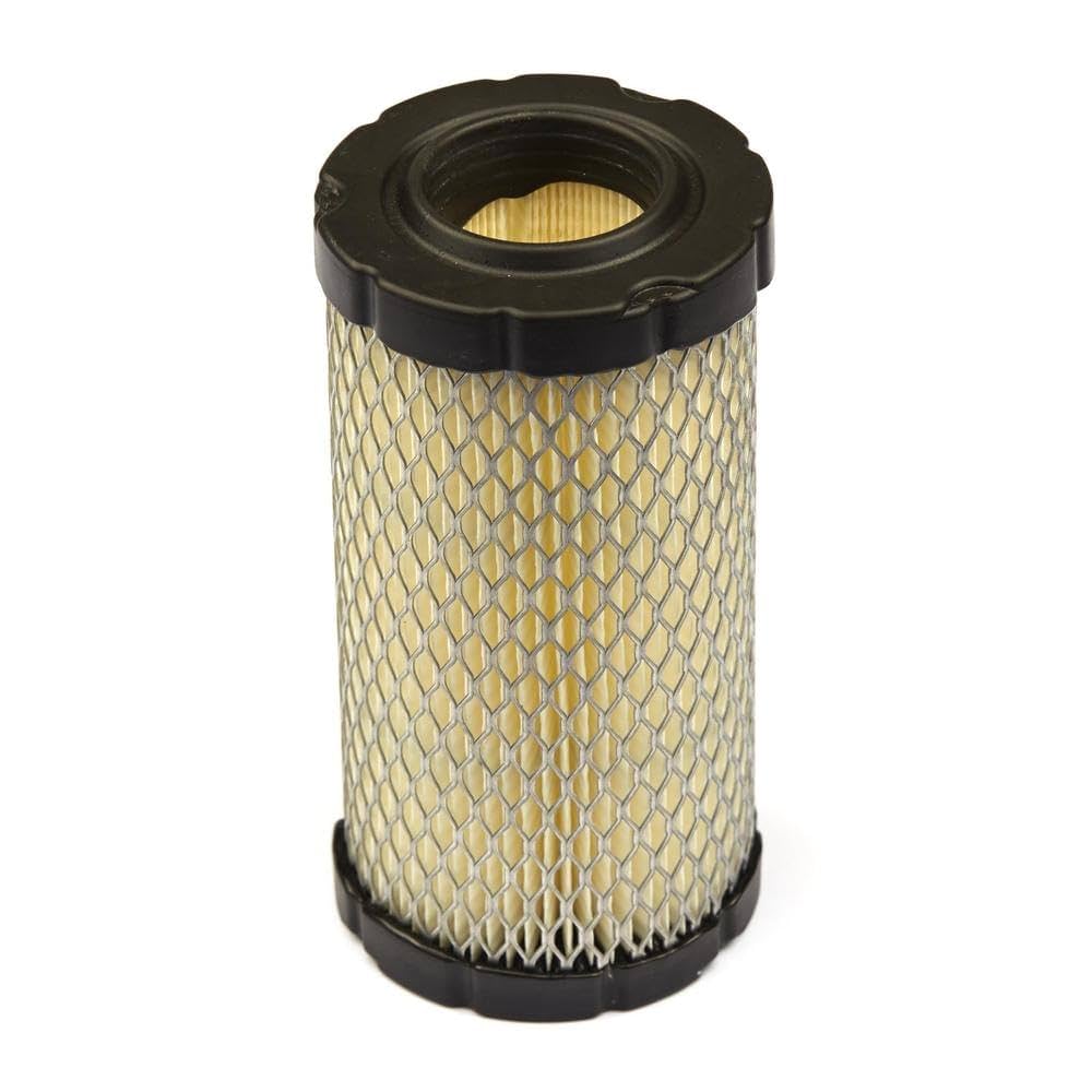 Briggs and Stratton Air Filter 793569