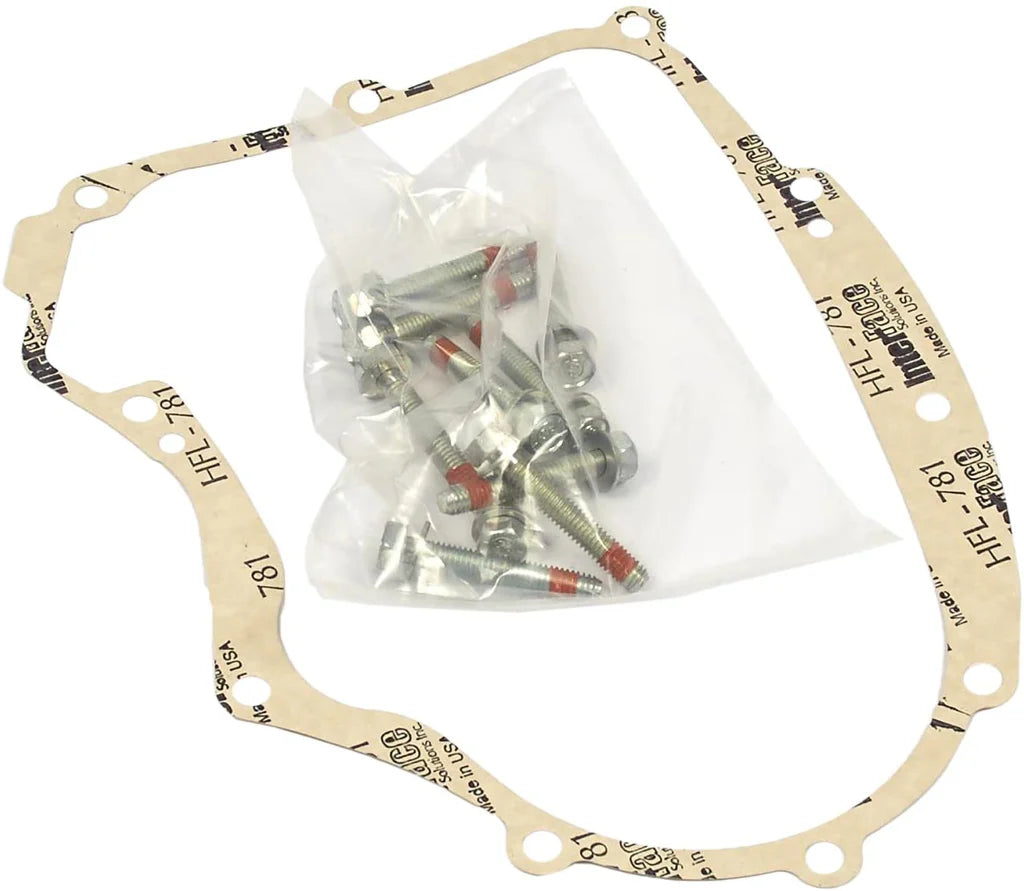 Briggs and Stratton Crankcase Gasket Kit 594195